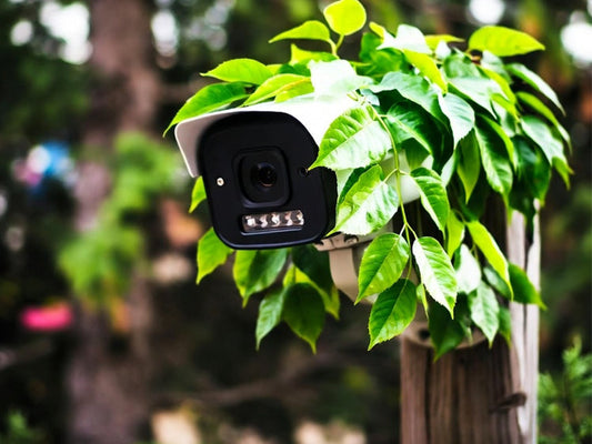 Como camuflar una camara de seguridad exterior — Discreción