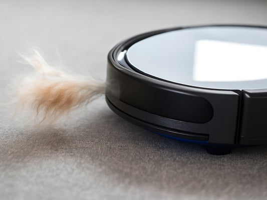 Cómo eliminar el pelo de mascota en el aire: Trucos eficaces