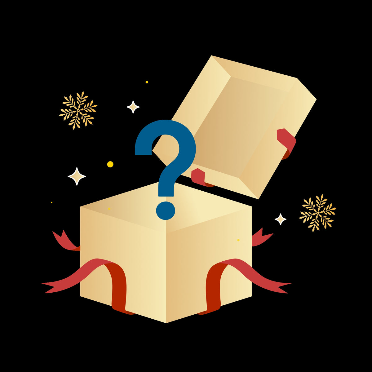 eufy Mystery Box for Christmas (Chosen at Random）